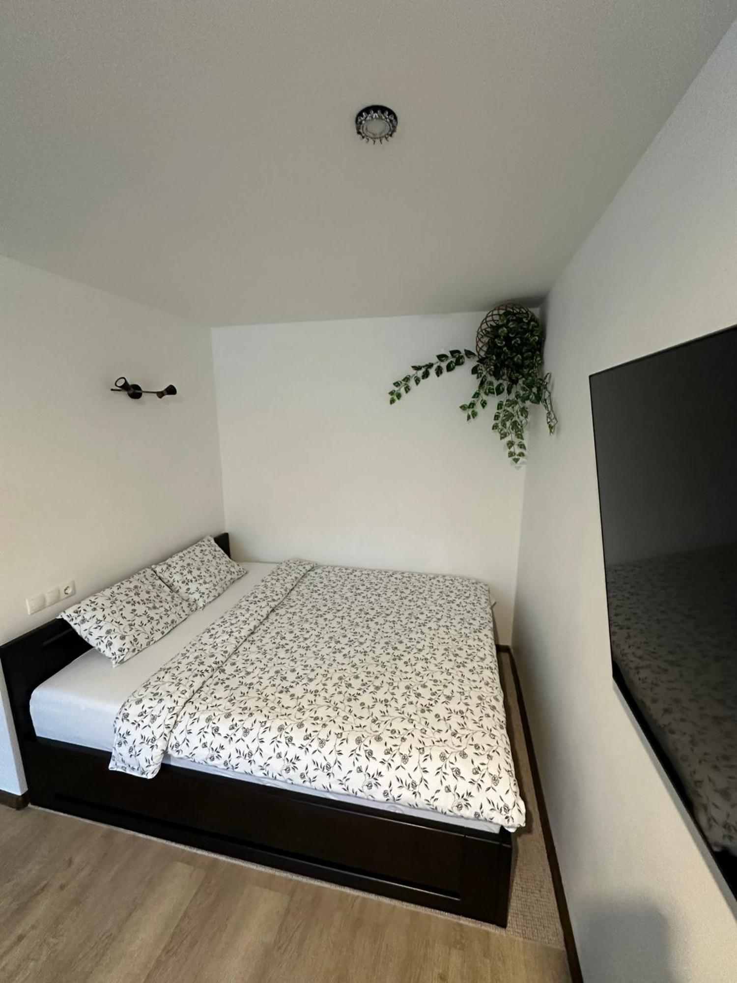 Studio Apartment Valmiera Buitenkant foto